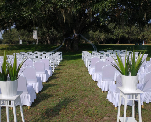 IMG_20211211_104422313-Medium